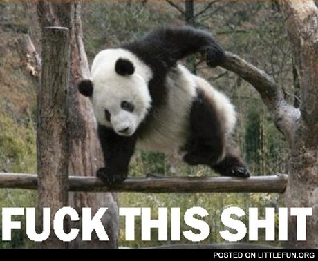F**k this sh*t panda
