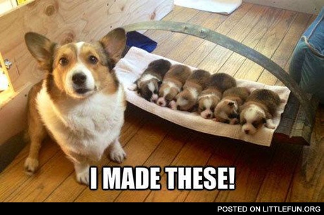 I made these! Cute puppies.