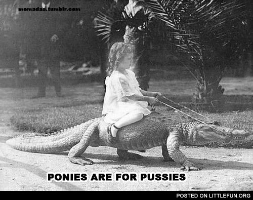 Ponies are for p*ssies