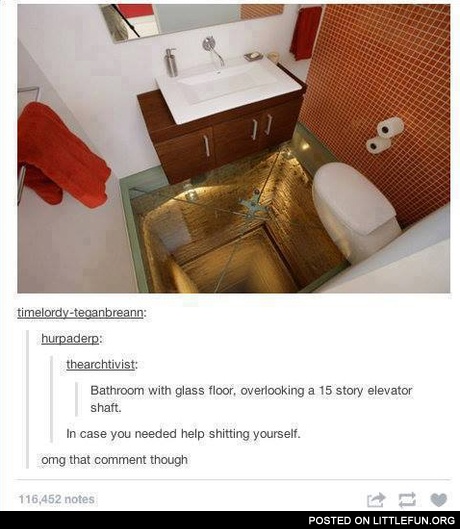 Bathroom with glass floor, overlooking a 15 story elevator shaft