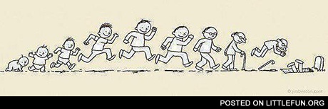 Life cycle
