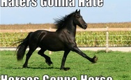 Haters gonna hate, horses gonna horse