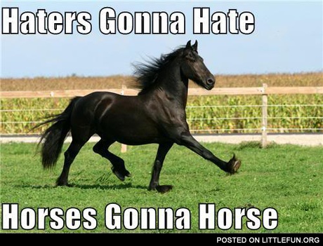 Haters gonna hate, horses gonna horse