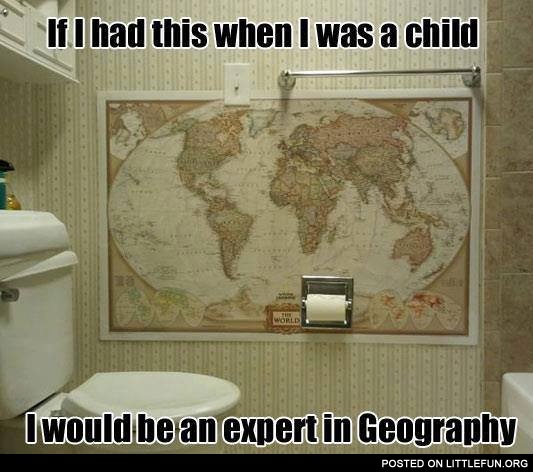 World map in toilet