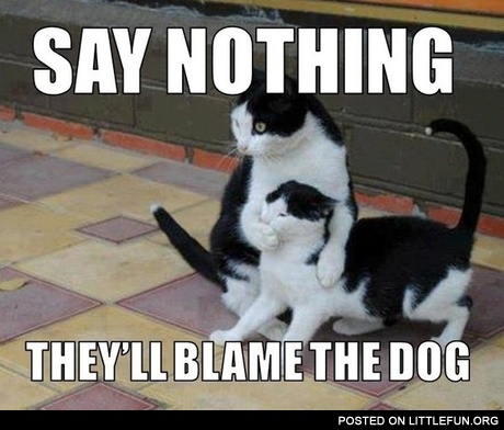Say nothing, they'll blame the dog