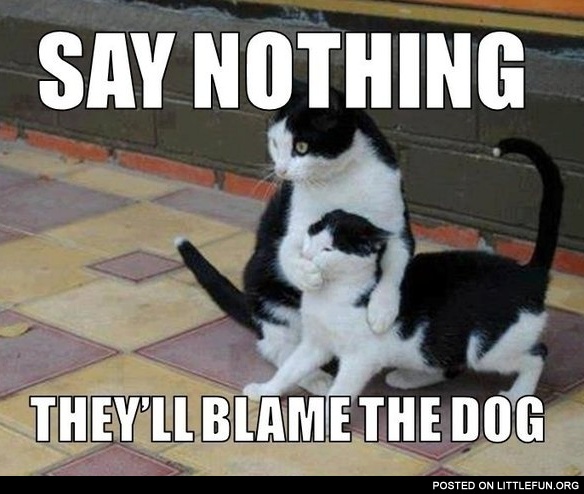 Say nothing, they'll blame the dog