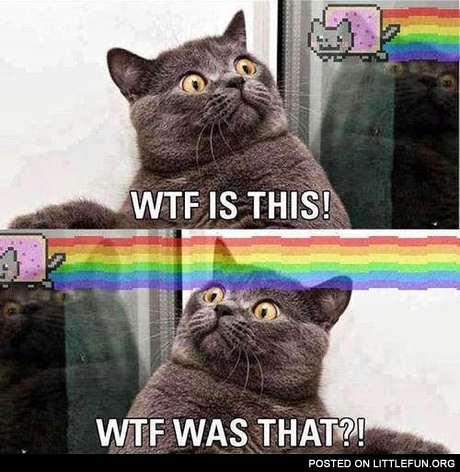 WTF is this? It's nyan cat.