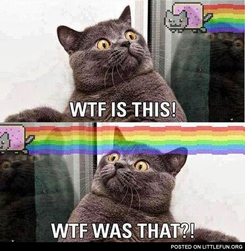 WTF is this? It's nyan cat.