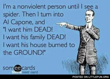 I'm a nonviolent person until I see a spider