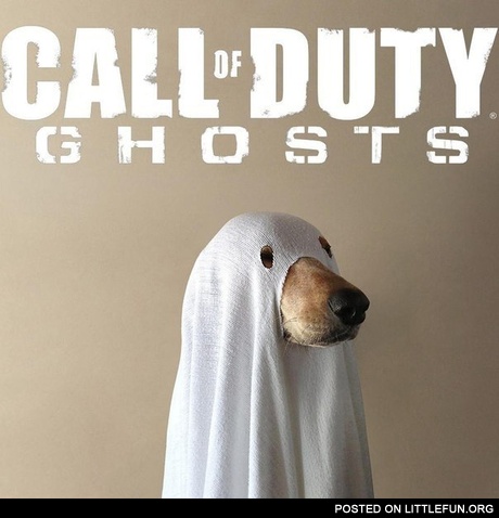 Call Of Duty Ghosts