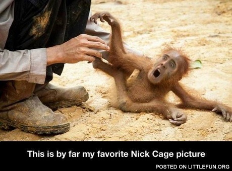 This is my favorite Nick Cage picture