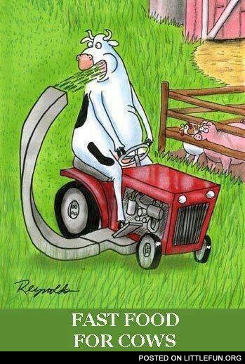 Fast food for cows