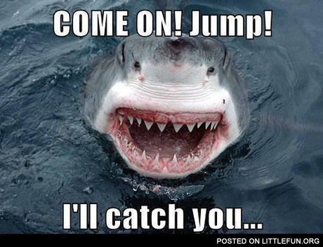 Come on! Jump! I'll catch you!
