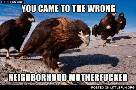 You came to the wrong neighborhood motherf**ker. Eagles.