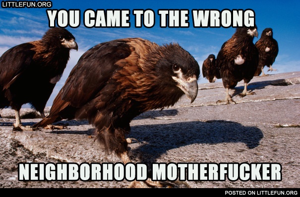You came to the wrong neighborhood motherf**ker. Eagles.