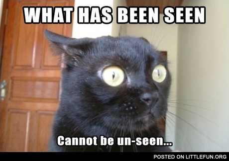 What has been seen cannot be unseen