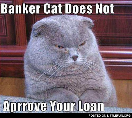 Banker cat does not approve your loan