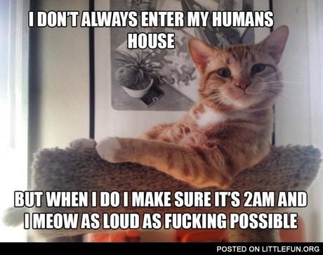 I don't always enter my human's house