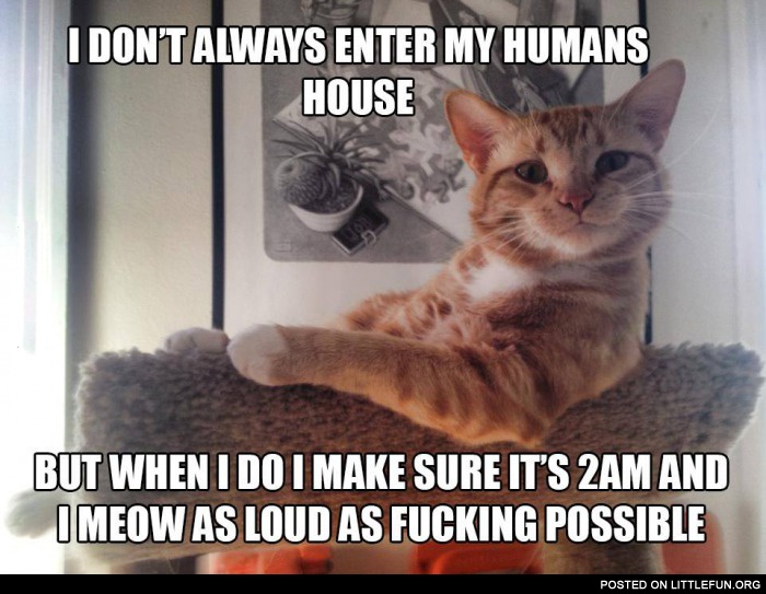 I don't always enter my human's house