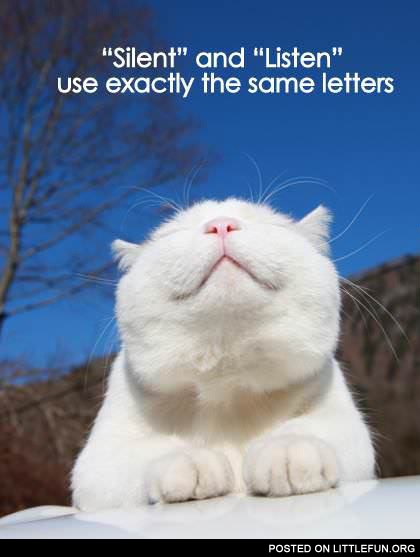 Silent and listen use exactly the same letters