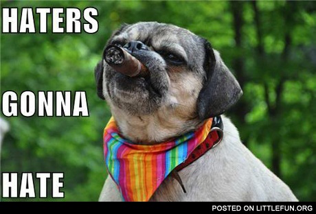 Business dog. Haters gonna hate.