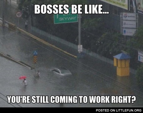 Bosses be like: You are still coming to work, right?