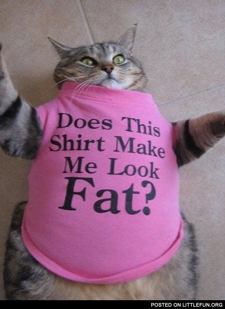 Does this shirt make me look fat?