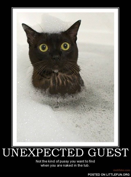Unexpected guest in the tub