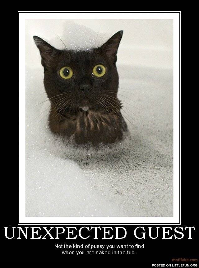 Unexpected guest in the tub