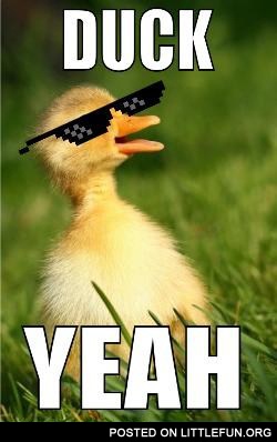Duck yeah
