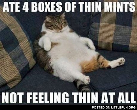 Ate 4 boxes of thin mints, not feeling thin at all