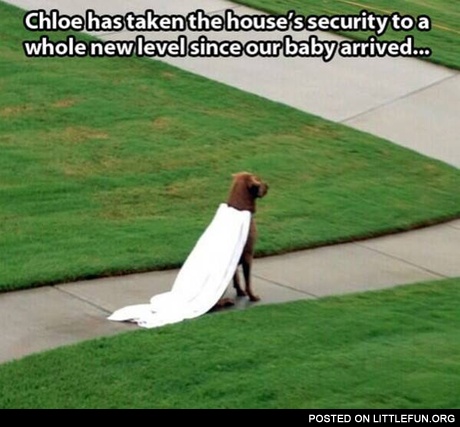 NIce cape. Chloe has taken the house's security to a whole new level.