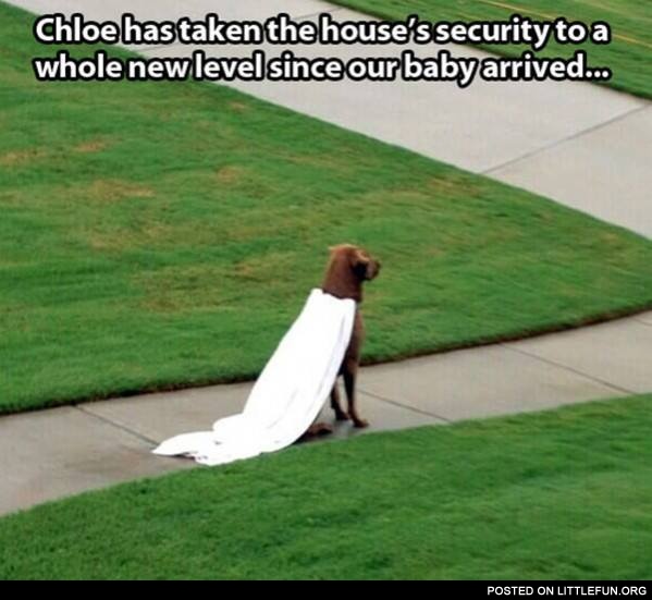 NIce cape. Chloe has taken the house's security to a whole new level.