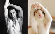 Male model vs. Cat