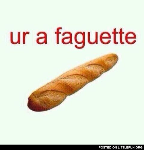 You are a faguette