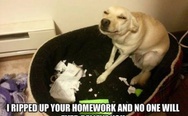 I ripped up your homework and no one will ever believe you
