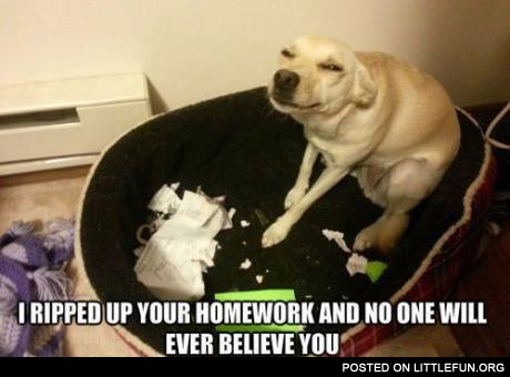 I ripped up your homework and no one will ever believe you