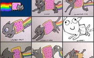 Nyan cat, different styles