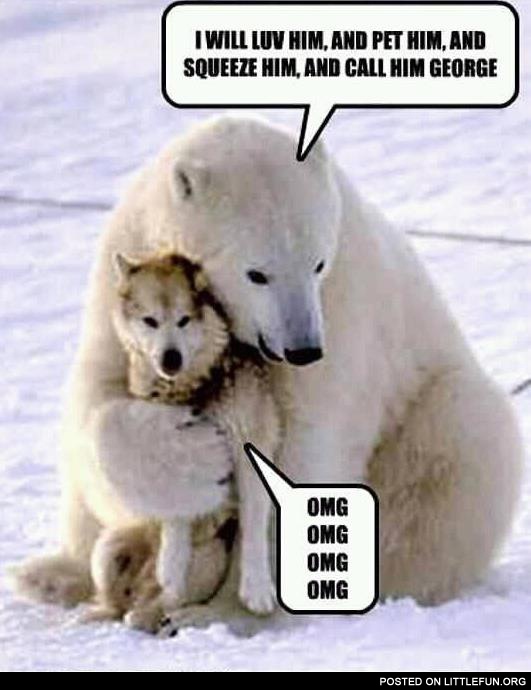 Polar bear and husky. I will love him, pet him, squeeze him, and call him George.