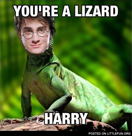 You are a lizard, Harry