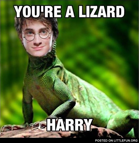 You are a lizard, Harry