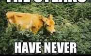 The steaks have never been higher