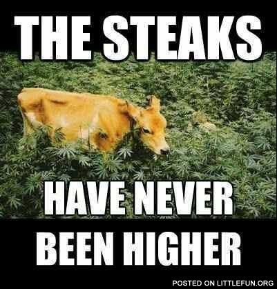 The steaks have never been higher