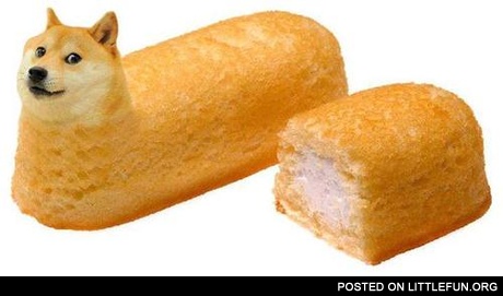 Doge twinkies