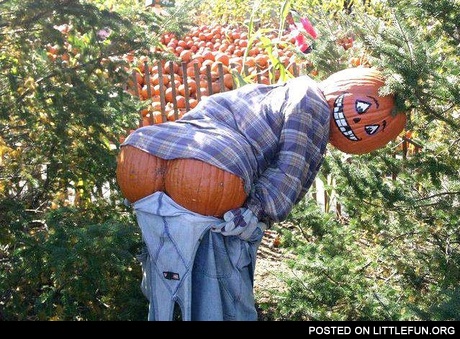 Pumpkin scarecrow. Dat ass.