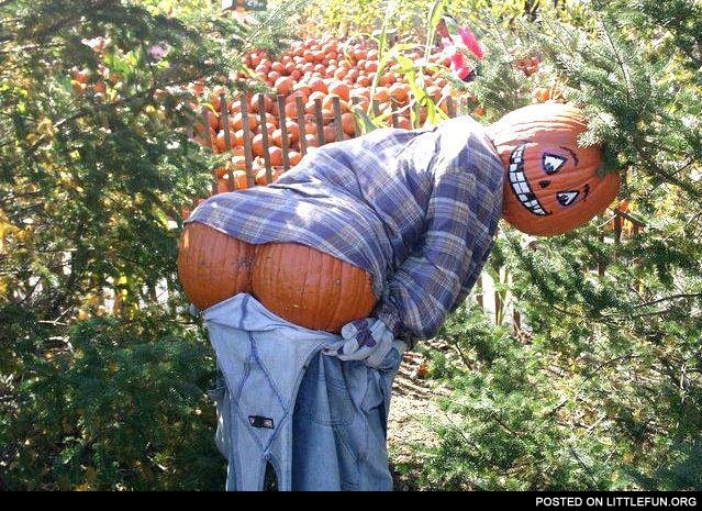 Pumpkin scarecrow. Dat ass.