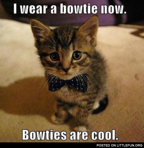 I wear a bowtie now, bowties are cool
