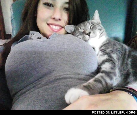 I love this "shirt", shirts are good. Lucky cat.