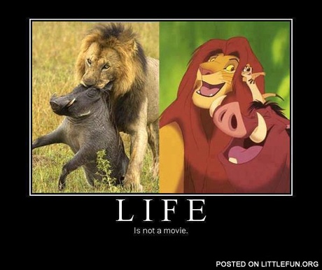Life is not a movie