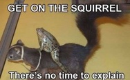 Frog on the squirrel. No time to explain.